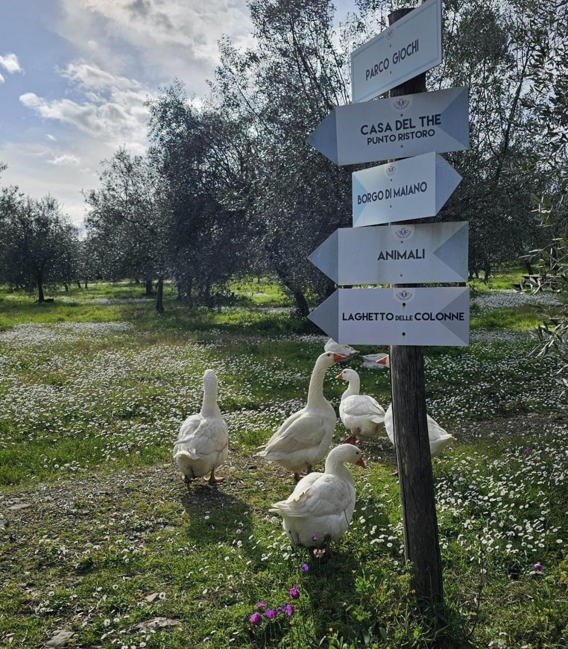 Agriturismo Fattoria Di Maiano Фьезоле Экстерьер фото