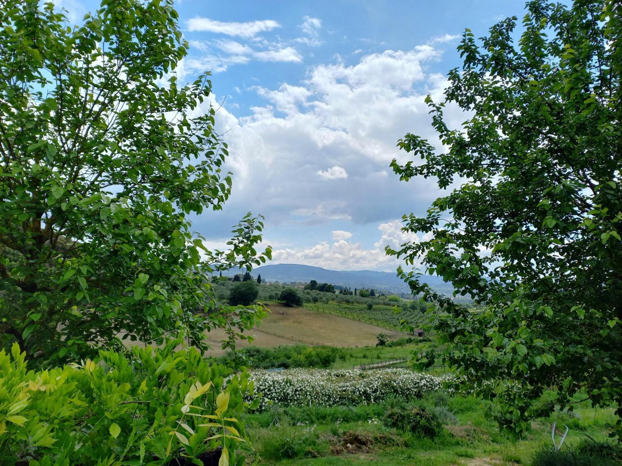 Agriturismo Fattoria Di Maiano Фьезоле Экстерьер фото